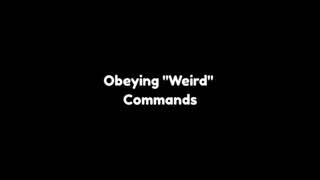 Open with submission at 0:03