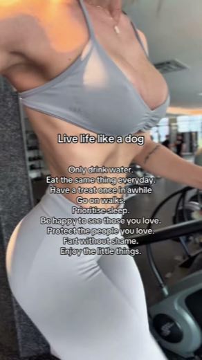 Reframe wellness as dog logic at 0:00