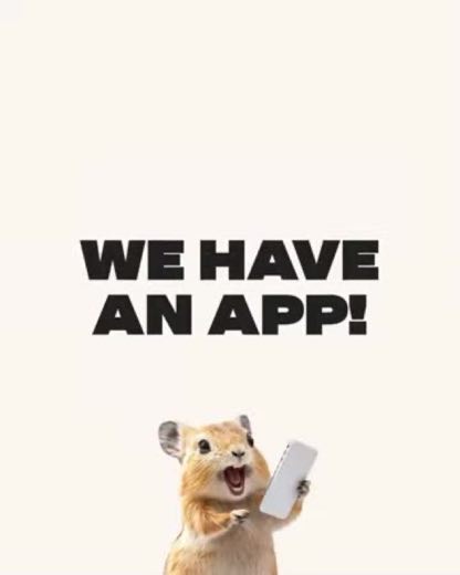 Announce the mobile release at 0:04