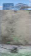 Frame 1