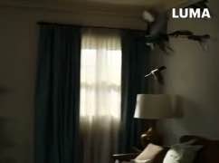 Frame 6