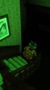 Frame 13
