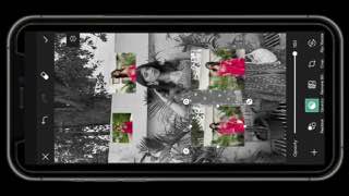 Frame 2