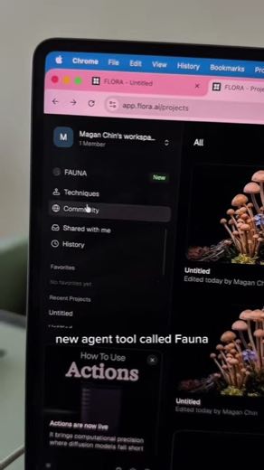 Introduce the agent at 0:17
