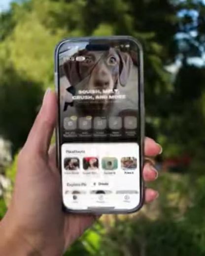 Show the effects in a phone at 0:02