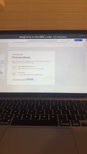 Generate the study asset at 0:18