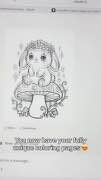 Frame 5